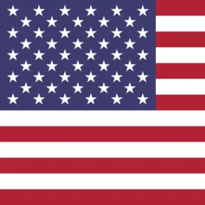 Global Reputation Management Services 1 United States flag