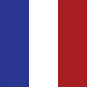 Global Reputation Management Services 6 France flag
